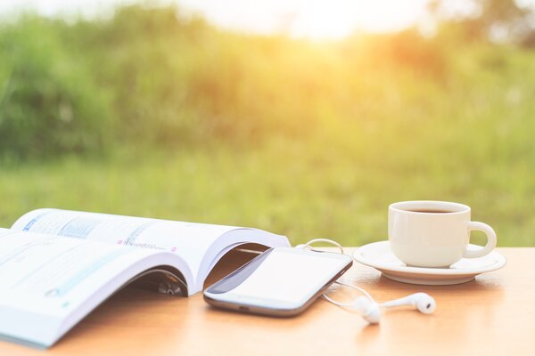A sunlit desk with notebook, plant, and a cup set for a calm break